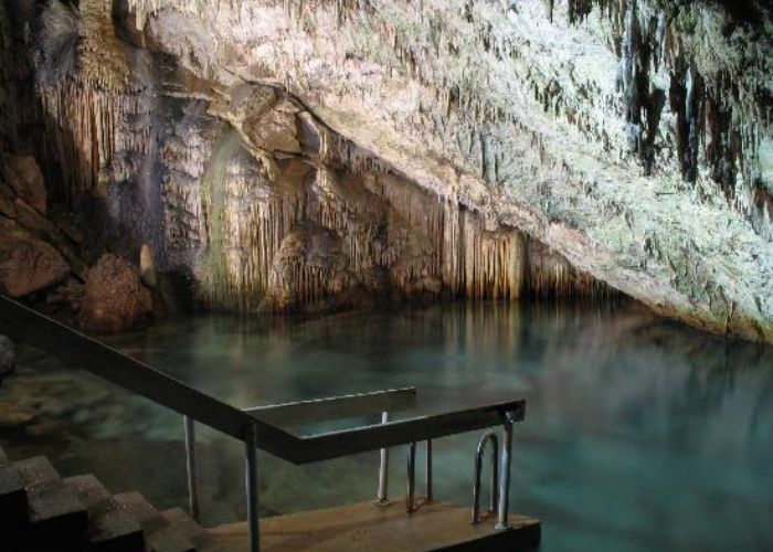 Cave Swimming in Bermuda Tips for Newbies in 2023